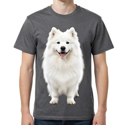 samoyed graphic on t - shirt