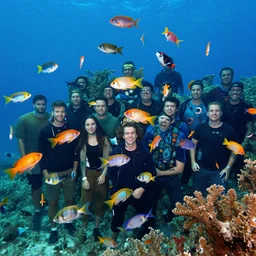 many colorful fish underwater, Lilia Alvarado, Sophie Anderson, Mark Arian, Bob Byerley, Charlie Bowater, Mark Brooks, Steve Henderson, Justin Gerard, Arthur Hughes, Edward Robert Hughes, Mark Keathley, Victor Nizovtsev, Carlos Shwabe, Ross Tran, WLOP