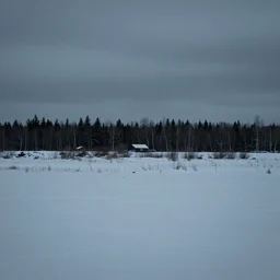 a bleak empty winter northern wilderness
