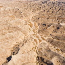 aerial overhead shot of beautiful badlands ground in a vector art screen print style