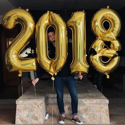 the year 2 0 1 8