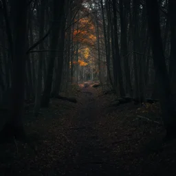 dark, gloomy, and ghostly. it depicts a landscape with an eerie swallowed forest, with an eerie trail winding through a dark and foreboding forest, with some muted colors of orange and yellow in the background.