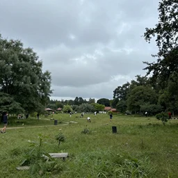 enviroment rubinkowski