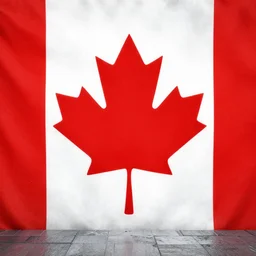 average canadian