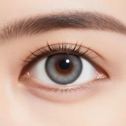 noita secret eye message solution