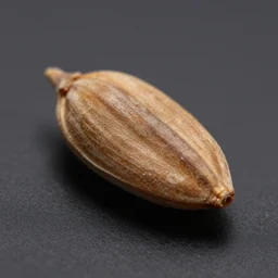 seed vicious