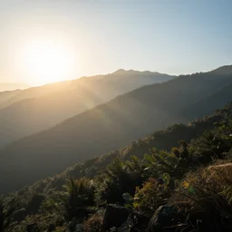 good morning in the mountains when the sun is shinning