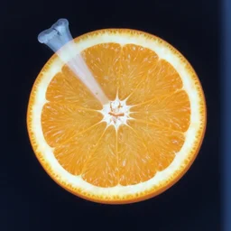 x - ray of an orange that has bones inside of it