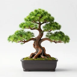 a bonsai made of rubber, photo studio, 8k