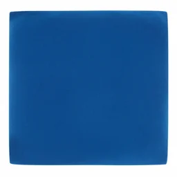 a cyanotype