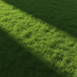 Grass texture, digital art
