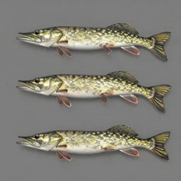 3 d model of a pike spinner,