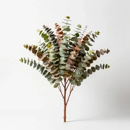 colorful eucalyptus branch, studio photography, full body, isolated on a pure white background, centered, entire subject in frame, sharp focus, soft studio lighting