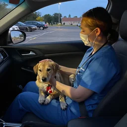 sitting at the emergency vet in my car with my sick dog at 12 am in the parking lot