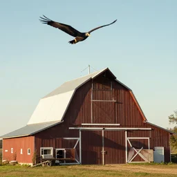 a barn with a wings flying on the sky