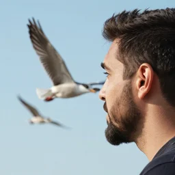 birds flying to an ear 👂 by fatchurofi