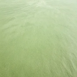 realistic photograph of a beach covered in green sand