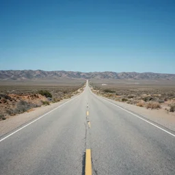 a desolated road in california, Ai Yazawa