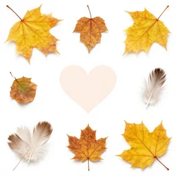 autumn leaves, feathers, hearts