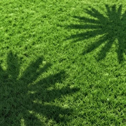 grass texture, map, beth sobel, artgerm, cell shaded