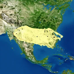 satellite view of honduras
