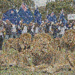 New Zealand freedom protesters encounter a pride of  lions. News footage.