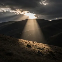 black sunshine