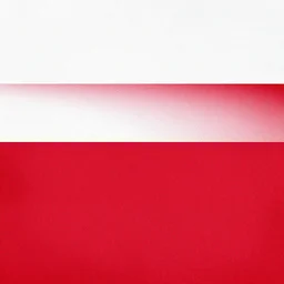 poland flag, 2 d, texture