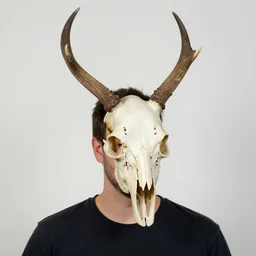 man with stork skull head,