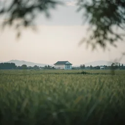 A serene landscape with a singular building in the style of bokeh