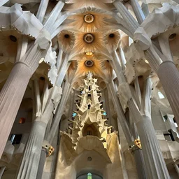 sculpted Sagrada Familia ceiling by Antoni Gaudi