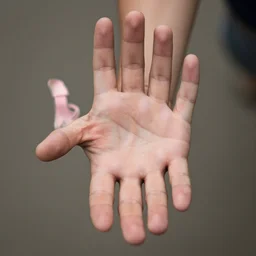 a normal human hand