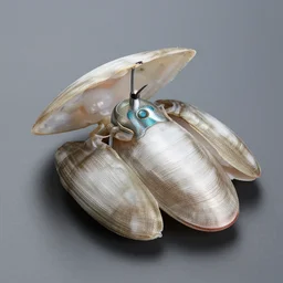 electric clam