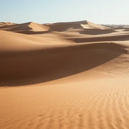 saharan desert by josan gonzalez