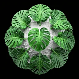 3d mandelbulb fractal of a monstera deliciosa, monstera deliciosa, monstera deliciosa, 3d mandelbulb fractal, visual depth, high quality, shadowing, fractal render, Green, white, black, 4k, 8k