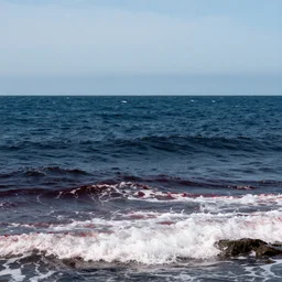 blood ocean