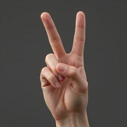 extremely detailed and anatomically accurate photograph by of a woman's hand making a peace sign. award - winning photograph vfx cgi. 3 5 mm shot on 7 0 mm, 8 k, photorealism. designed to help art students learn how to depict human hands correctly. masterpiece. digital art trending on artstation