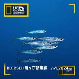 flying anchovies, wingless, photography, award winning photo, documentary, uhd, blue planet still, national geographic