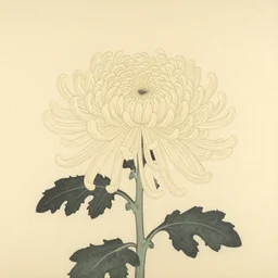 a minimalist chrysanthemum. shin hanga and kawanabe kyosai and cory loftis and rossdraws and wlop and jung gi kim rule of thirds