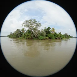 a detailed beautiful matte painting of the Mekong River Delta by Mikko Lagerstedt and Raphael Lacoste, fisheye lens