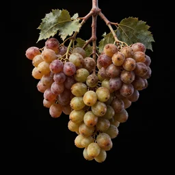 low hanging fruits, solid black backgroud by james gurney, concept art, intricate, hyper detailed, volumetric lighting, sharp focus, octane render, trending on artstation, 8 k