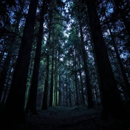 black light shining of tall trees, still from a tim burton movie
