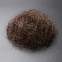 a pile of hairs
