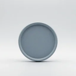 A perfectly generic object