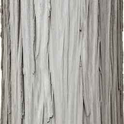 tree bark texture