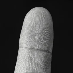 close up of a finger print, ultra realistic, 4 k, black and white.