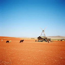 divine in a farm, kodachrome taken with contax g 1, vivid colours