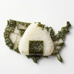 USA map made of onigiri sushi, high detail