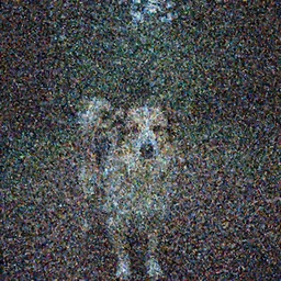 dog looking at camera in les vosges forest at night, far away from camera, 70s photo, out of focus, motion blur, cctv footage