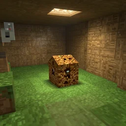 a treasure in a minecraft cave